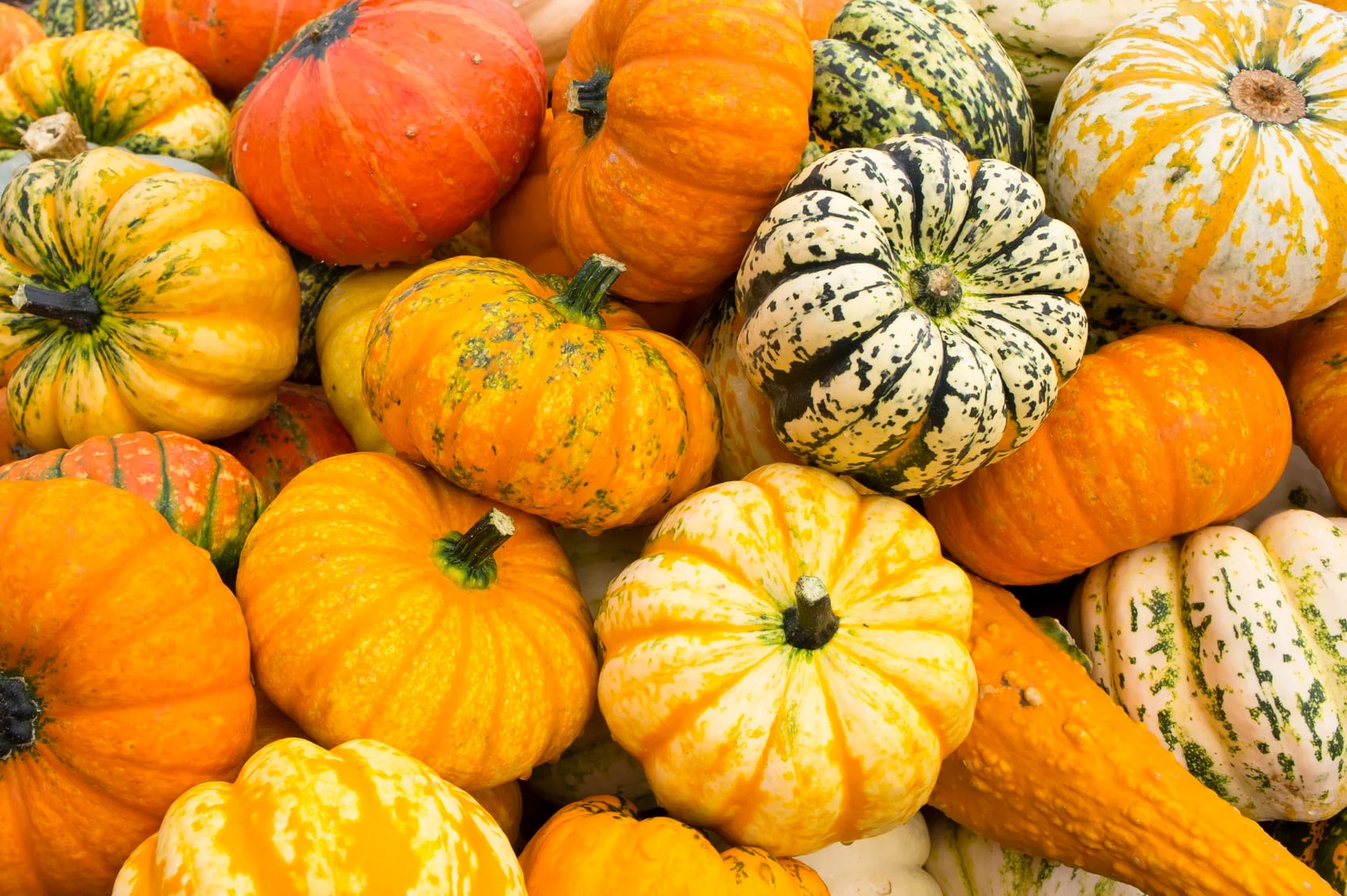 different colored pumpkins on top of each other